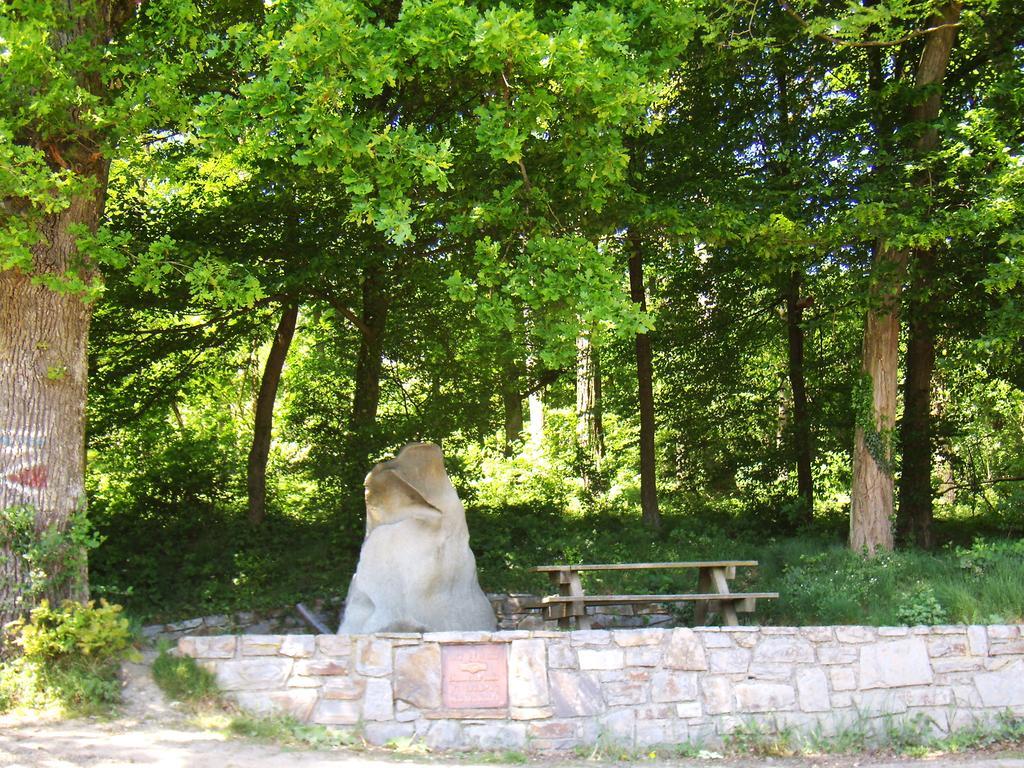 Privatzimmer Und Ferienwohnungen Leeb Persenbeug Exterior photo